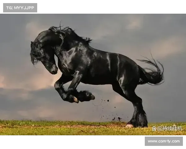 云南玉昆排名跃升至第8 刷新升班马最佳纪录